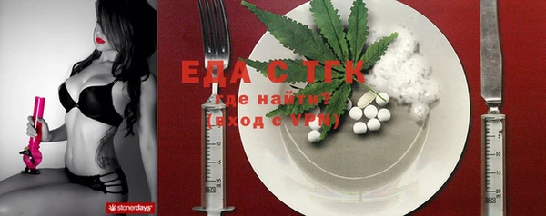 индика Балахна