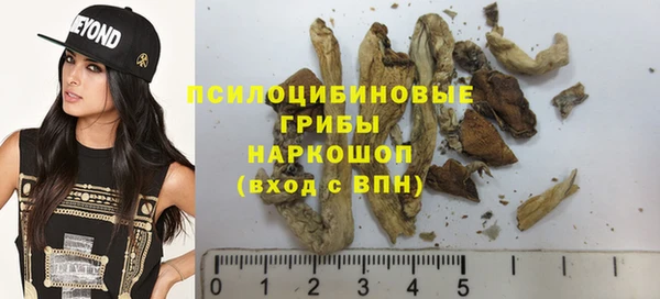 прущие грибы Балабаново